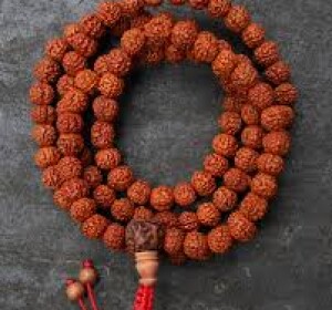 Rudraksha Mala